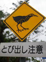 むいむい