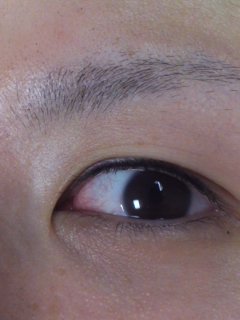 う~と~と。