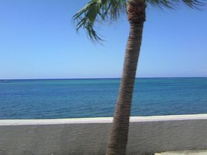 海
