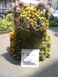 千葉の駅前は…花盛り♪ 2008/05/24 09:05:29