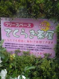 大切な事の伝え方の形… 2008/05/29 09:15:27