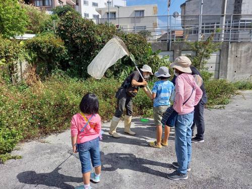 すぎもっちと歩く 森のおさんぽ~春の虫編~ すぎもっちと歩く 森のおさんぽ~春の虫編~