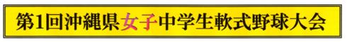 平成25年7月・8月の主な大会及び取組・情報等