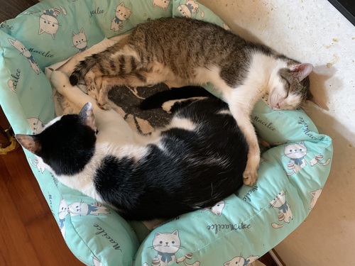 ベッドのフチ ベッドのフチ