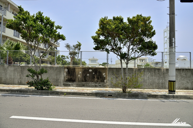 2014年沖縄の旅（石垣島　その４）No.11