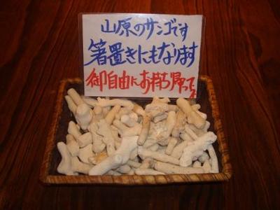 ご自由に・・・