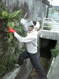新年 あけましておめでとう