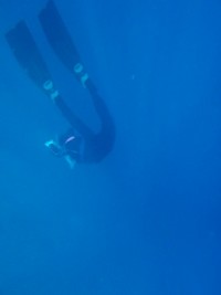 ラストシーズン