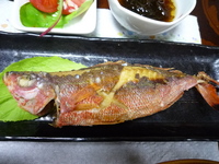 新鮮なぐるくん 2008/05/24 13:51:17