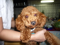 アトムちゃん 2008/08/07 18:29:51