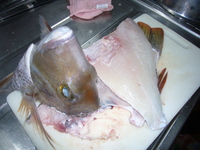 しるゆーのコース 2008/01/05 15:36:17