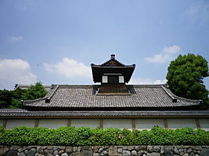 東別院で大いなる何かと向き合う