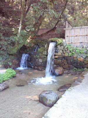 夏は最高に気持ちがよい、猿投神社とネイチャリング