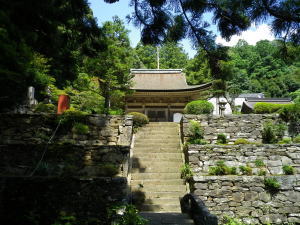 古代遺跡のようなパワースポット、岡崎、天恩寺