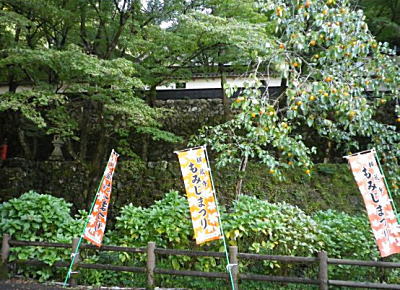 紅葉狩りを楽しむ。岐阜、揖斐川町の横蔵寺