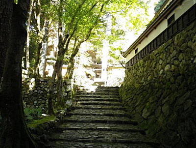 紅葉狩りを楽しむ。岐阜、揖斐川町の横蔵寺
