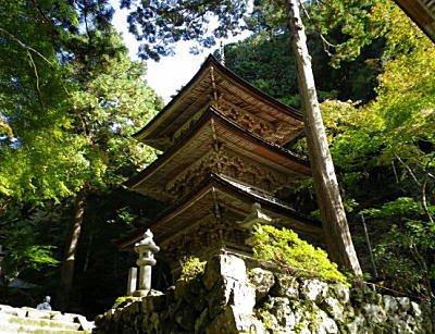 紅葉狩りを楽しむ。岐阜、揖斐川町の横蔵寺