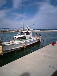 パヤオ 2008/06/28 11:43:24