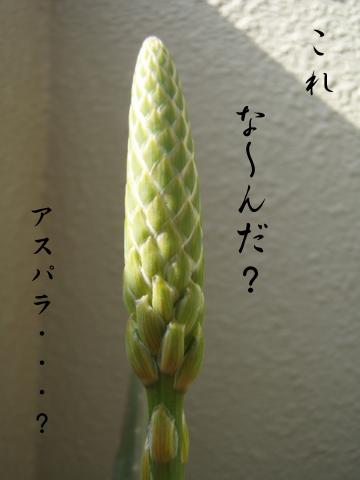 さて、、、問題です!