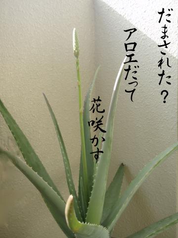 さて、、、問題です!
