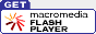 flash player