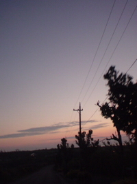昨日の夕陽