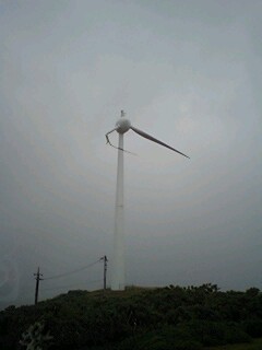 台風の爪跡