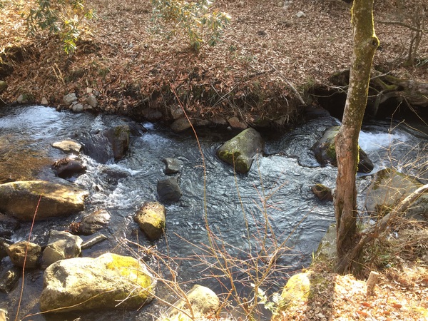 黒川温泉への旅 パート4 黒川温泉への旅 パート4