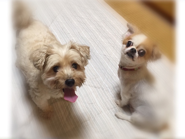 会いたいな … ♡♡♡ 会いたいな … ♡♡♡