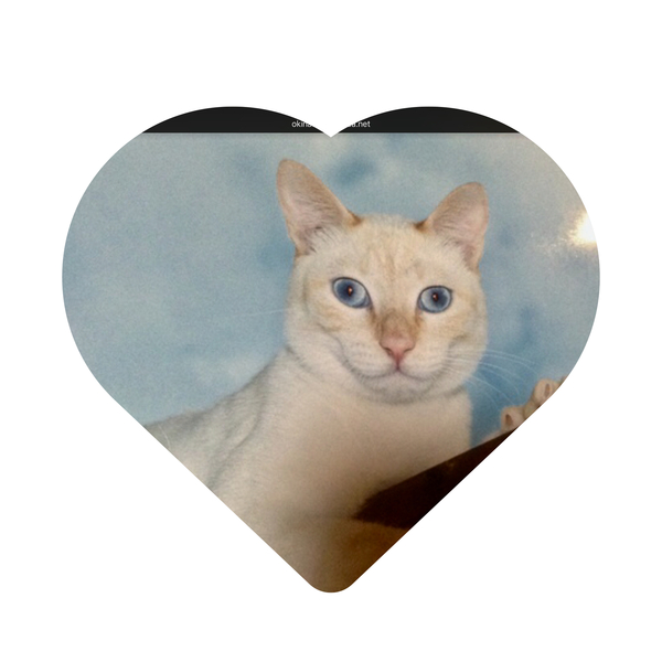 会いたいな … ♡♡♡ 会いたいな … ♡♡♡