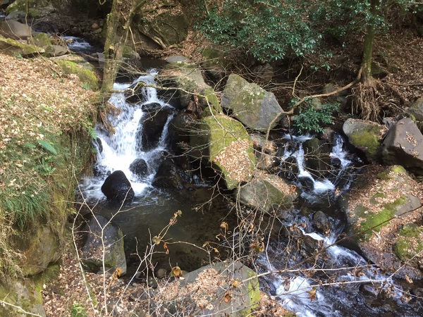 黒川温泉への旅パート3 黒川温泉への旅パート3