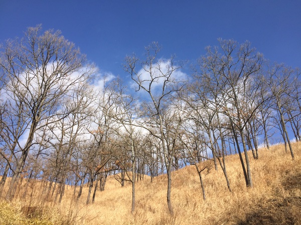 黒川温泉への旅パート3 黒川温泉への旅パート3