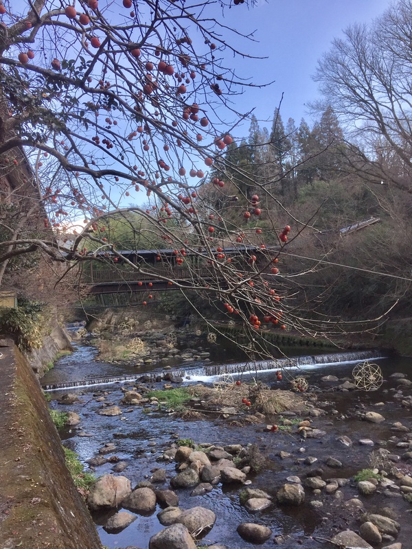 黒川温泉でのんびりと 黒川温泉でのんびりと