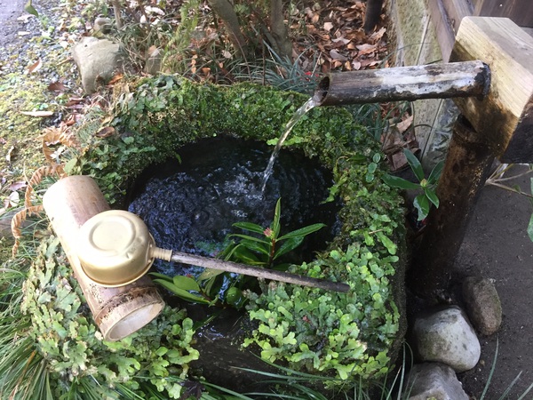 黒川温泉への旅 パート4 黒川温泉への旅 パート4