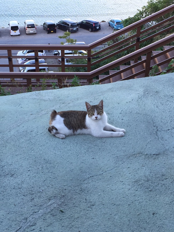 瀬長島へプチ旅行(o^^o) 瀬長島へプチ旅行(o^^o)