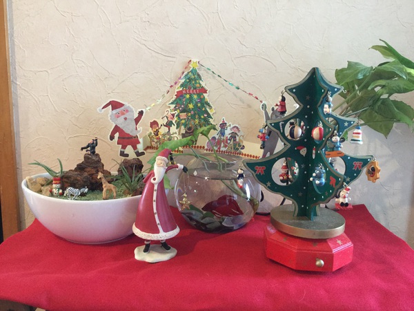 のんびりクリスマスイブ (^_^) のんびりクリスマスイブ (^_^)