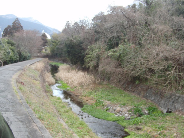 湯布院の街の人力車