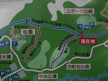 県民の森で超ライトトレッキング!~熱田岳~ 県民の森で超ライトトレッキング!~熱田岳~