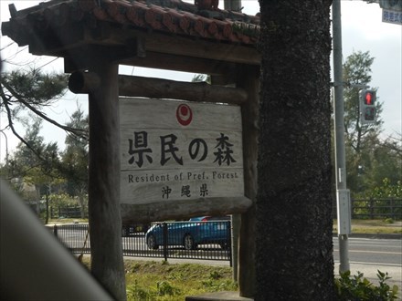 県民の森で超ライトトレッキング!~熱田岳~ 県民の森で超ライトトレッキング!~熱田岳~