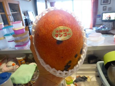豊作の年に沖縄で生マンゴーをお腹いっぱい食べたら、××円！！