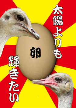 沖縄こどもの国動物選抜総選挙2015投票始まる！！