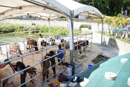 1月31日(日)琉球競馬「ンマハラシー」開催のお知らせ 1月31日(日)琉球競馬「ンマハラシー」開催のお知らせ