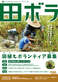 沖縄在来米の田植えを行いました!