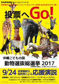 沖縄こどもの国動物選抜総選挙2017投票開始！