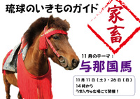 琉球のいきものガイド～家畜編～　11月のテーマは「与那国馬」