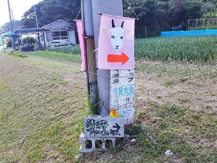 清ら海ファーム 清ら海ファーム