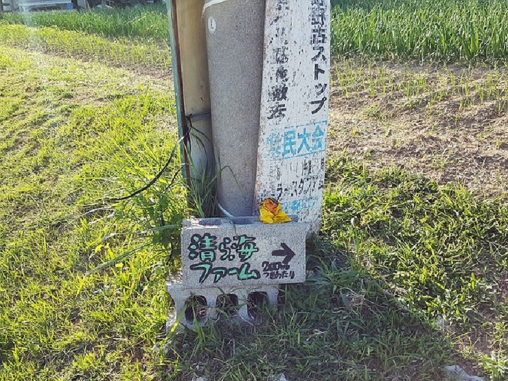 清ら海ファーム 清ら海ファーム