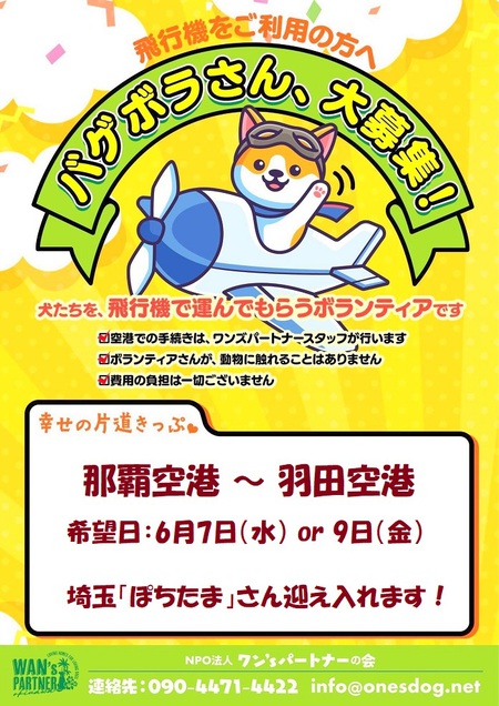 那覇空港~羽田空港「バゲボラ」募る・・・「ぽちたま」さん、受入れに感謝!涙 那覇空港~羽田空港「バゲボラ」募る・・・「ぽちたま」さん、受入れに感謝!涙