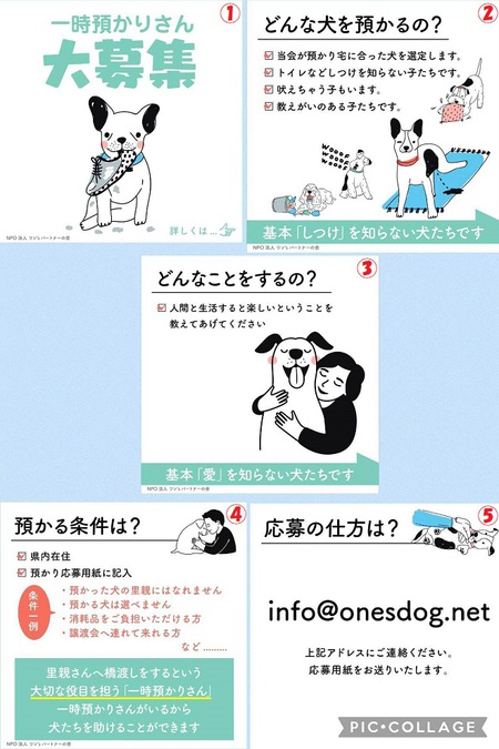 「ワンsレスキュー」チームに加わりませんか・・・一時あずかりボランティア募ります! 「ワンsレスキュー」チームに加わりませんか・・・一時あずかりボランティア募ります!
