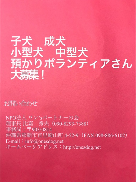 一時あずかりボランティア募ります・・・私たちと一緒に「レスキュー活動」しませんか! 一時あずかりボランティア募ります・・・私たちと一緒に「レスキュー活動」しませんか!